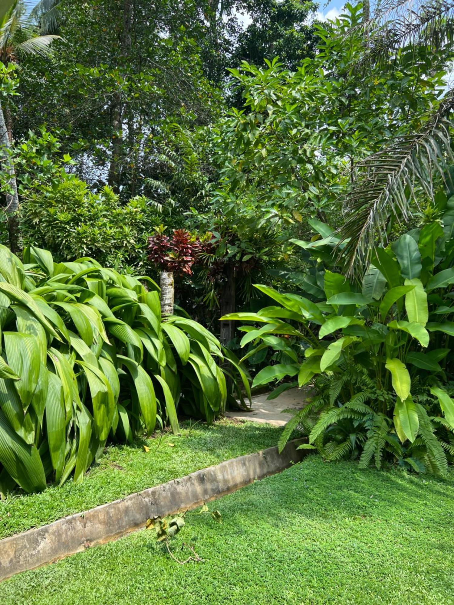 Medusa Bungalow - Galle Luaran gambar